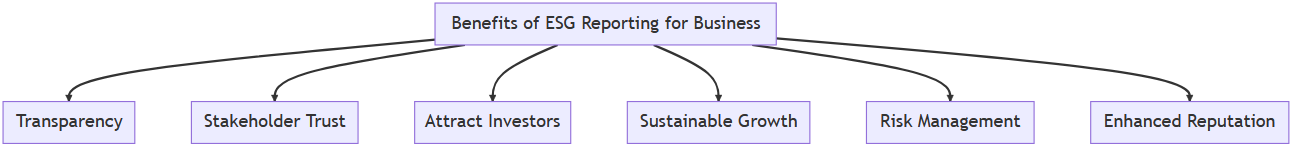 What is an ESG Report