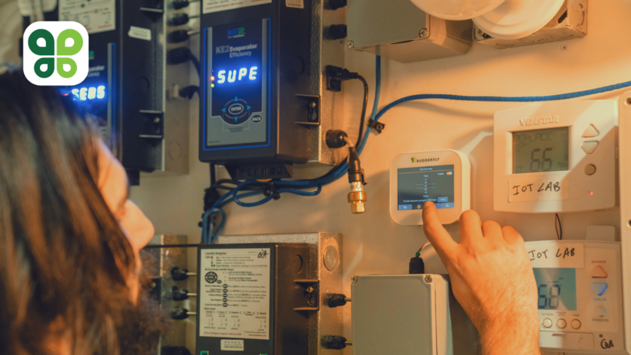 70 Patents Filed: A Look at Budderfly’s Industry-Leading Innovation