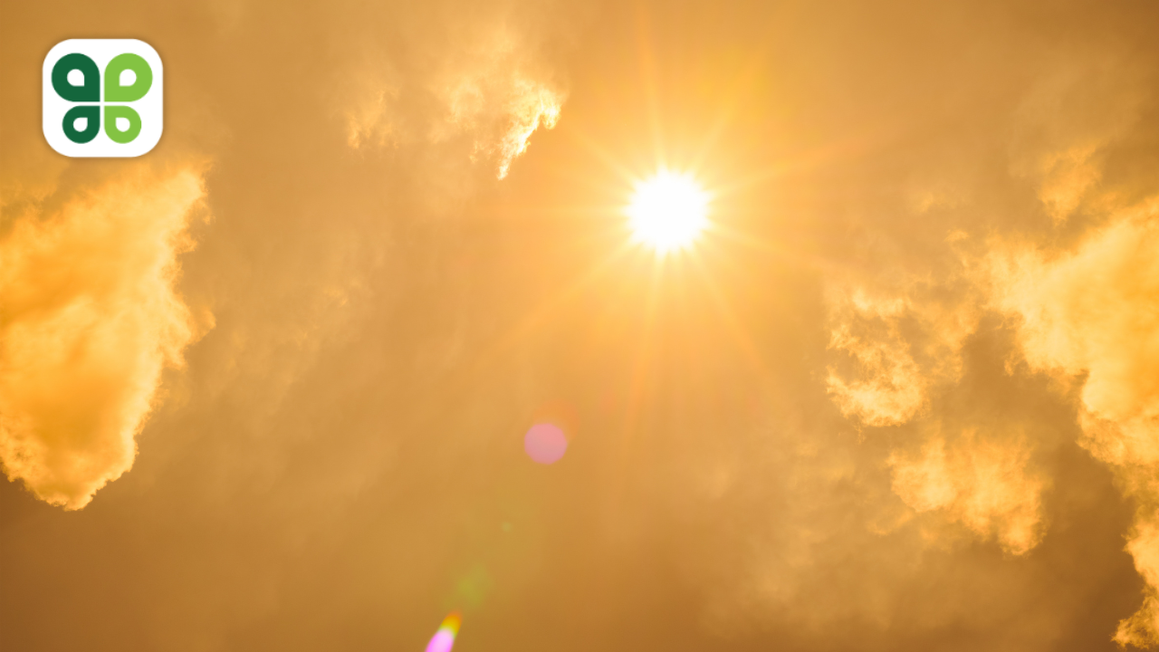 Top Summer Energy Challenges Business Owners Need to Prioritize in 2026 (And How to Solve Them)
