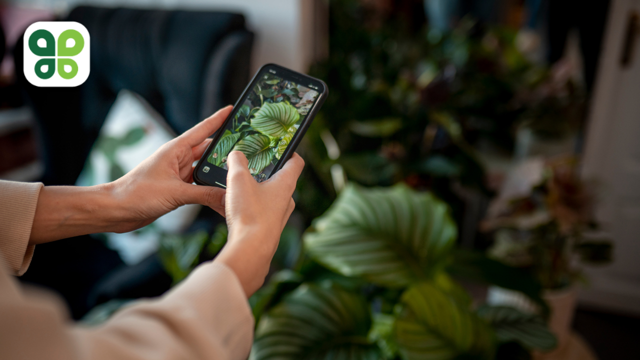 How AI Is Transforming Business Sustainability: 3 Key Insights