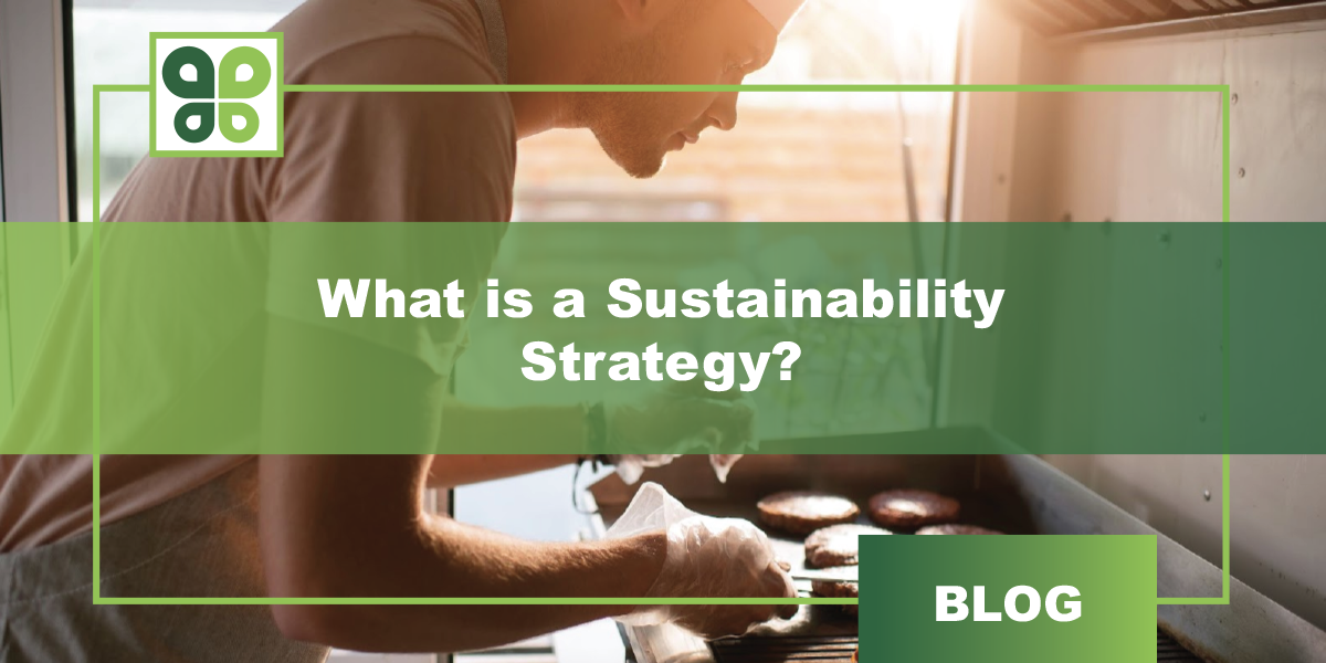 What is a Sustainability Strategy?