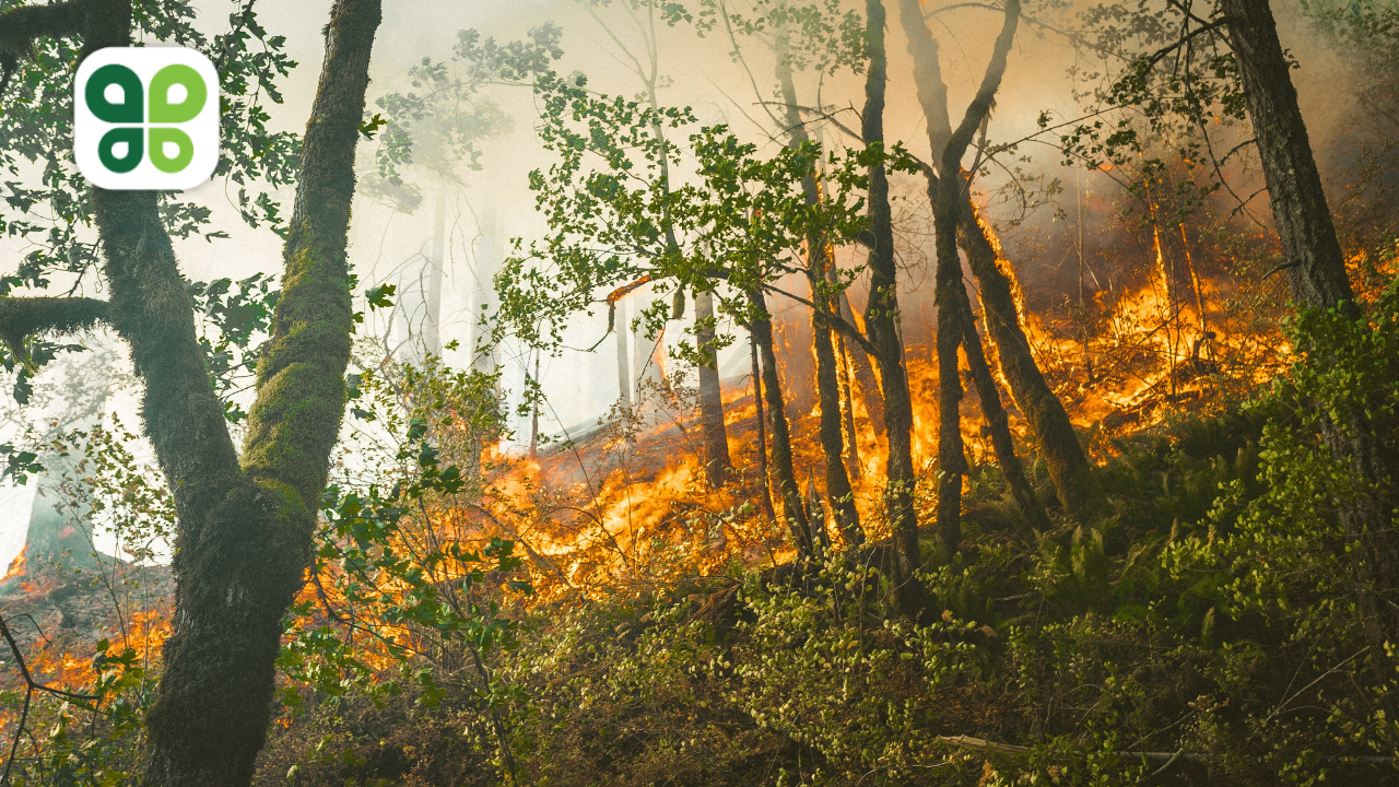 These Summer News Stories Highlight the Importance of Fighting Global Warming