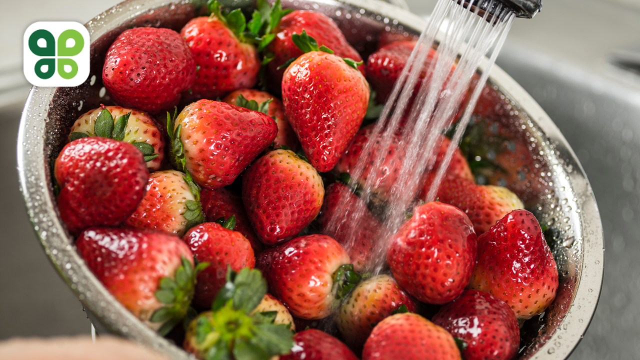 How Water Conservation Elevates Energy Savings