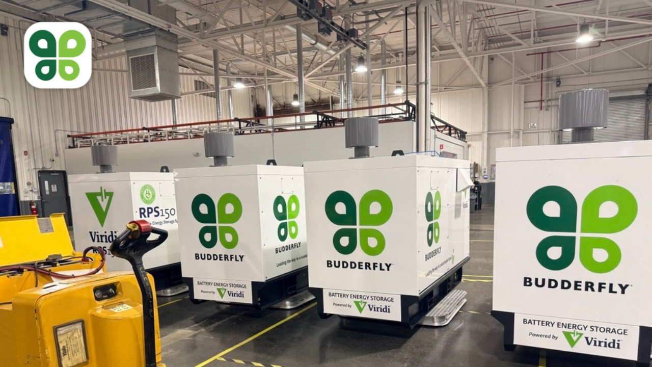 Inside Viridi: Where Batteries, People and Innovation Come Together