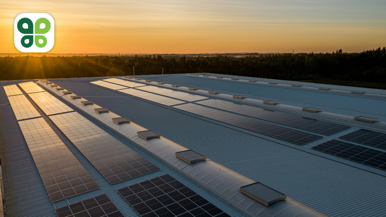 Solar Panels and Battery Storage: Benefits for Business Energy Management